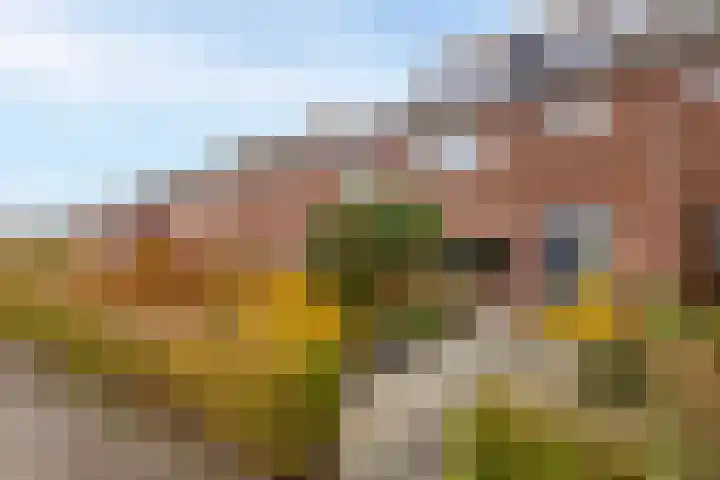 Juliana van Stolberglaan 49 Giessenburg thumbnail 48