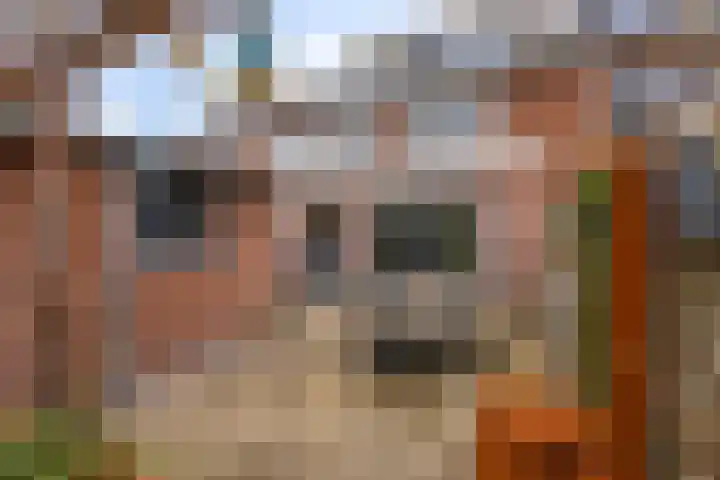 Juliana van Stolberglaan 49 Giessenburg thumbnail 5