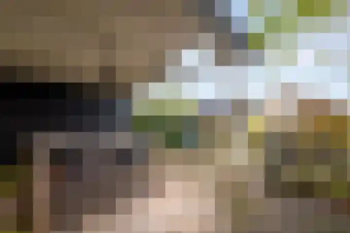 Juliana van Stolberglaan 49 Giessenburg thumbnail 9