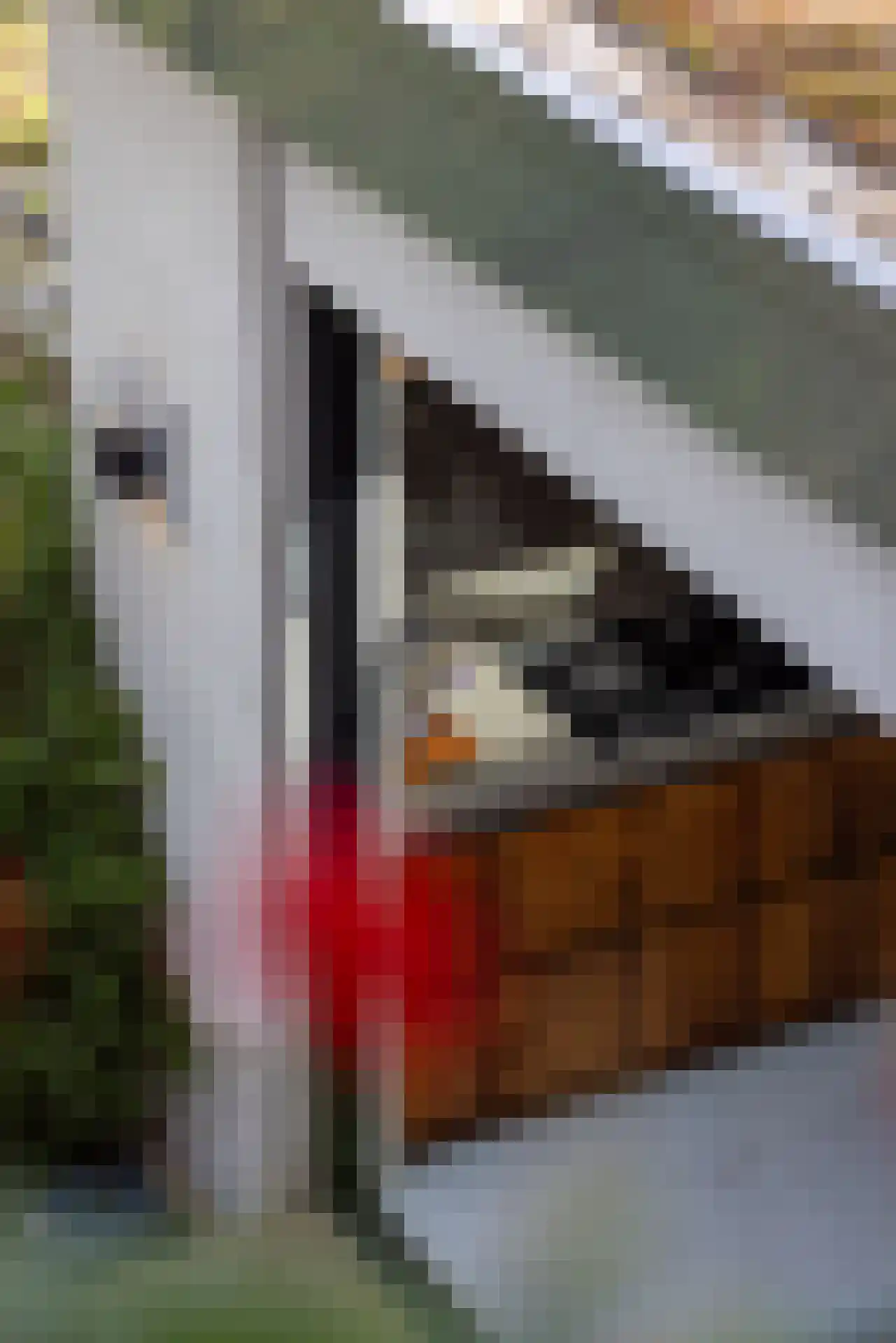 Juliana van Stolberglaan 52 Rotterdam thumbnail 31