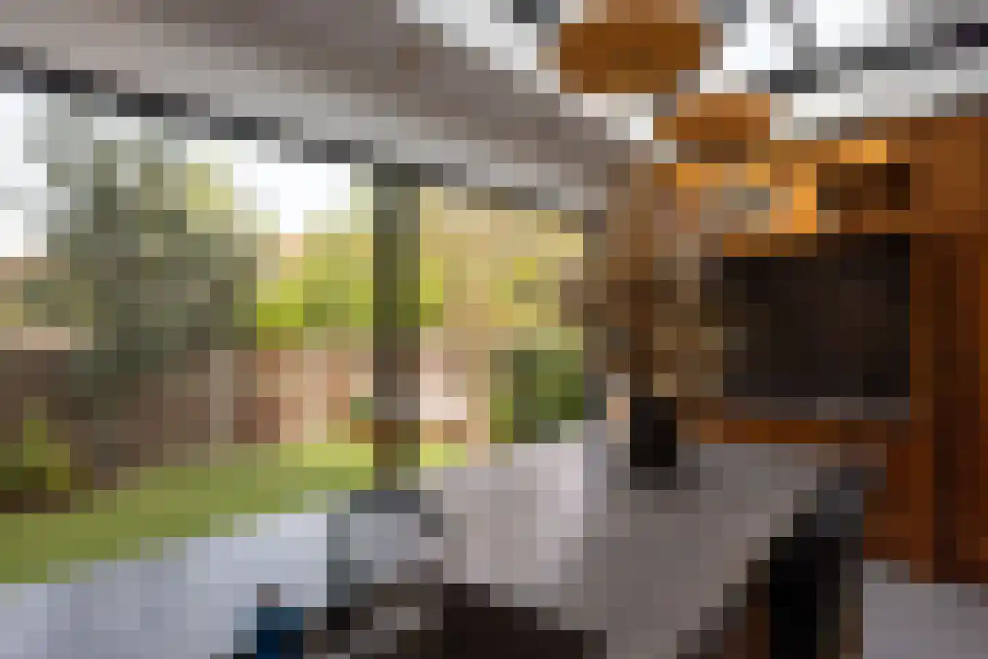 Juliana van Stolberglaan 52 Rotterdam thumbnail 32