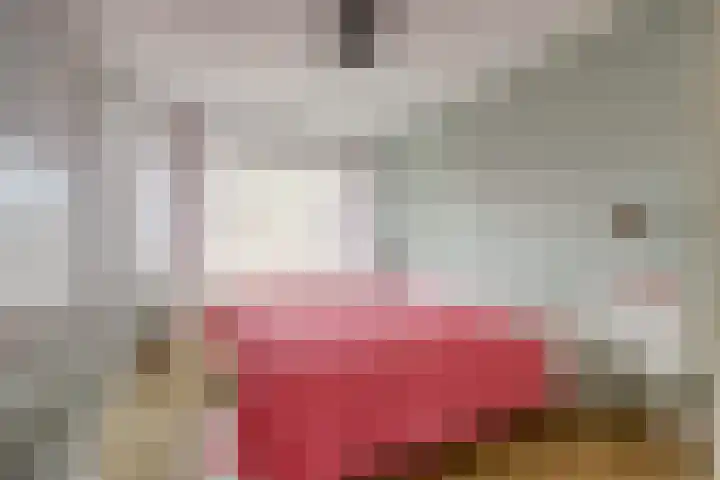 Juliana van Stolberglaan 58 Waddinxveen thumbnail 23