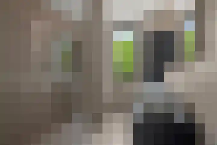 Juliana van Stolberglaan 62 Vught thumbnail 27