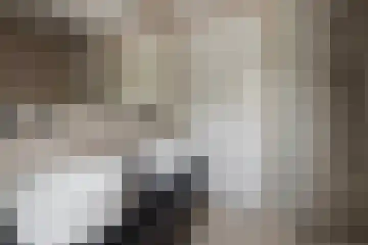 Juliana van Stolberglaan 62 Vught thumbnail 28