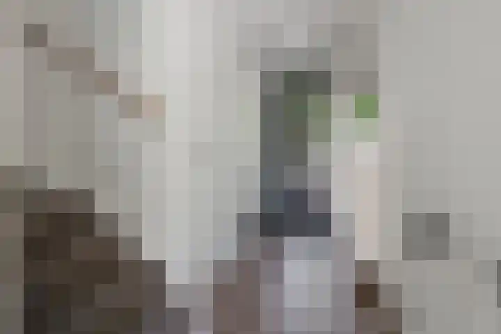Juliana van Stolberglaan 62 Vught thumbnail 4