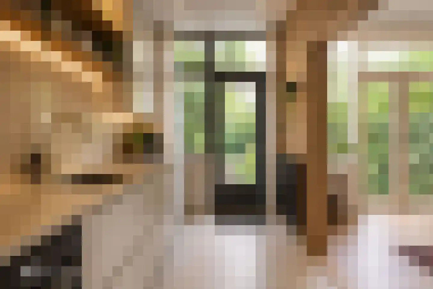 Juliana van Stolberglaan 7 Alkmaar thumbnail 14