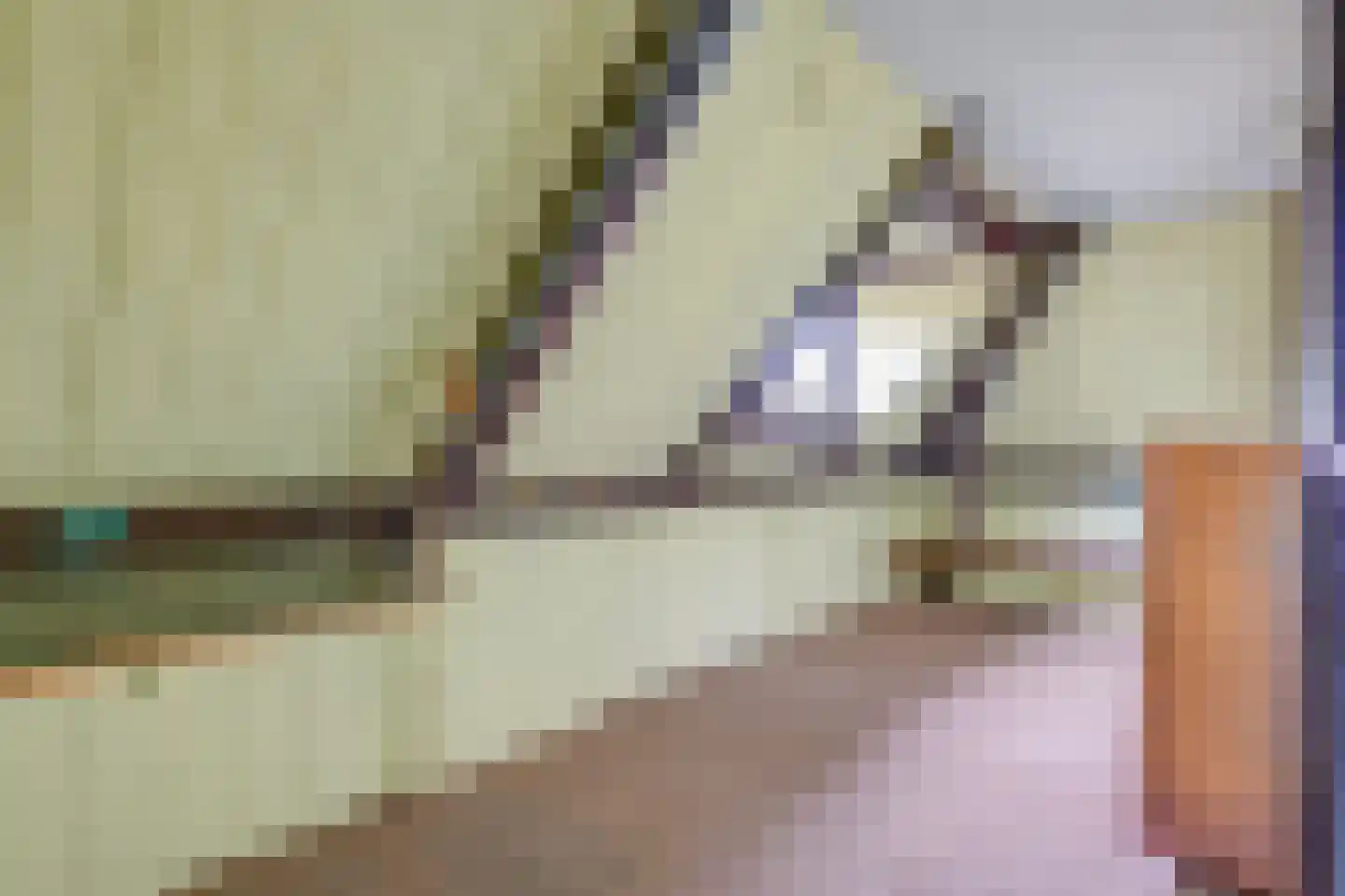 Juliana van Stolberglaan 7 Alkmaar thumbnail 33