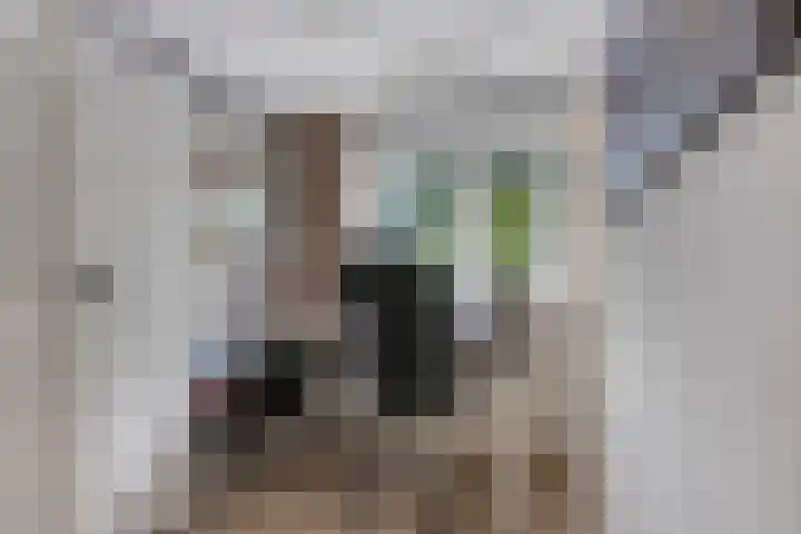 Juliana van Stolberglaan 7 Ede thumbnail 29