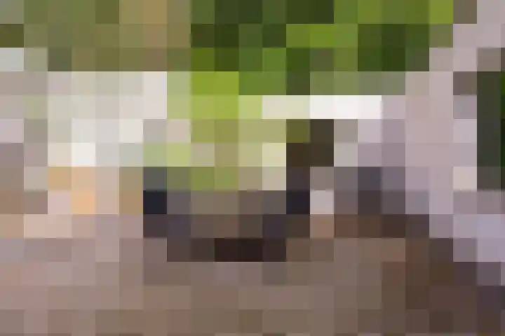 Juliana van Stolberglaan 7 Eerbeek thumbnail 31