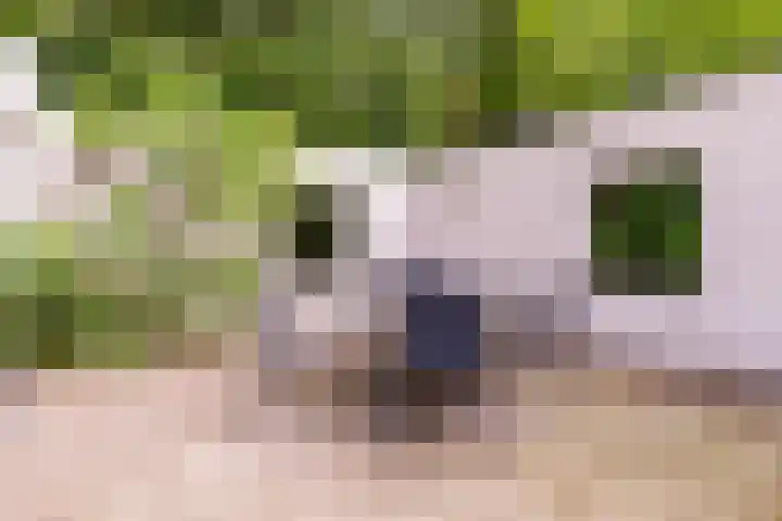 Juliana van Stolberglaan 7 Eerbeek thumbnail 32
