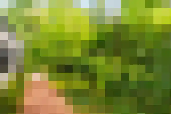 Juliana van Stolberglaan 7 Eerbeek thumbnail 36