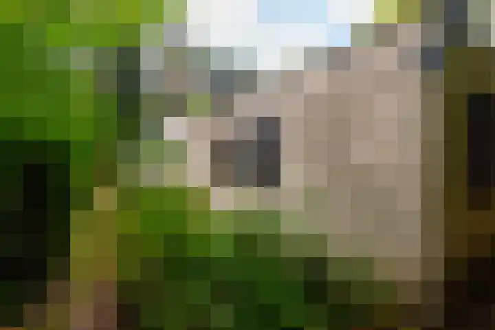 Juliana van Stolberglaan 7 Eerbeek thumbnail 37