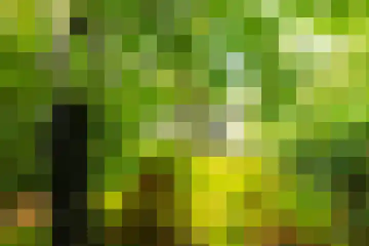 Juliana van Stolberglaan 7 Eerbeek thumbnail 38