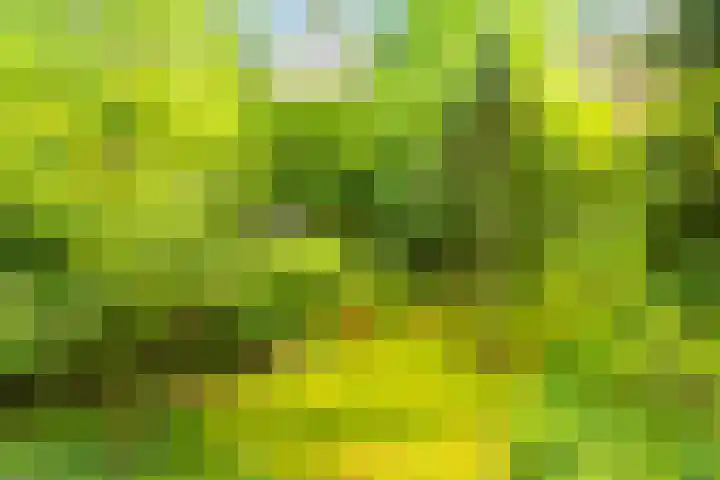 Juliana van Stolberglaan 7 Eerbeek thumbnail 39