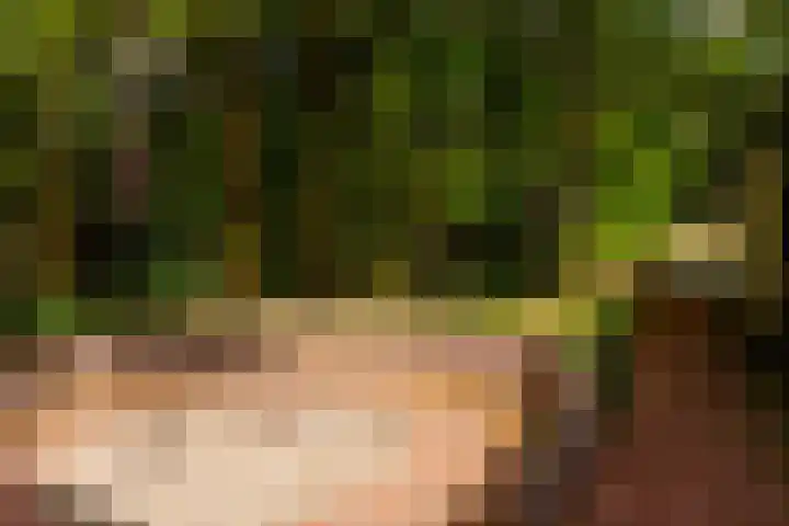 Juliana van Stolberglaan 7 Eerbeek thumbnail 44