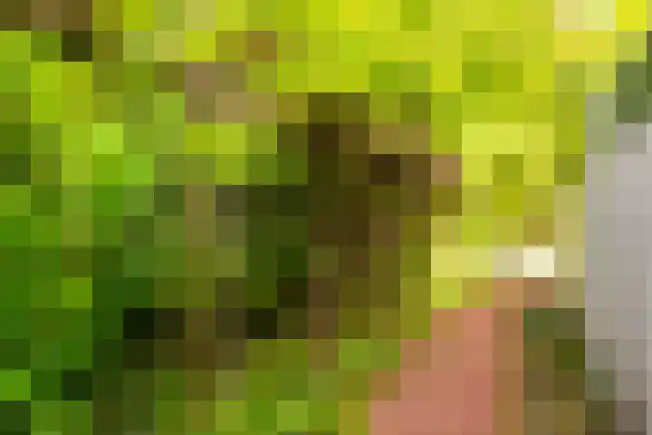 Juliana van Stolberglaan 7 Eerbeek thumbnail 45