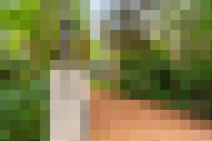 Juliana van Stolberglaan 7 Eerbeek thumbnail 7