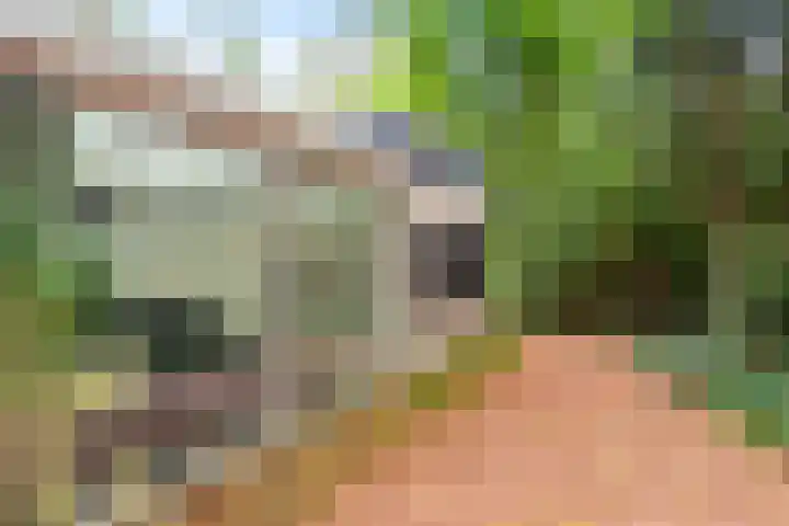 Juliana van Stolberglaan 7 Eerbeek thumbnail 9