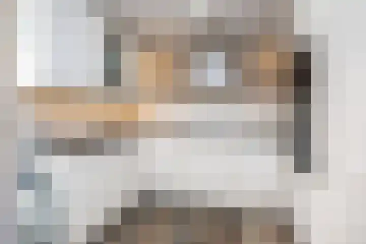 Juliana van Stolberglaan 7 Middelharnis thumbnail 4