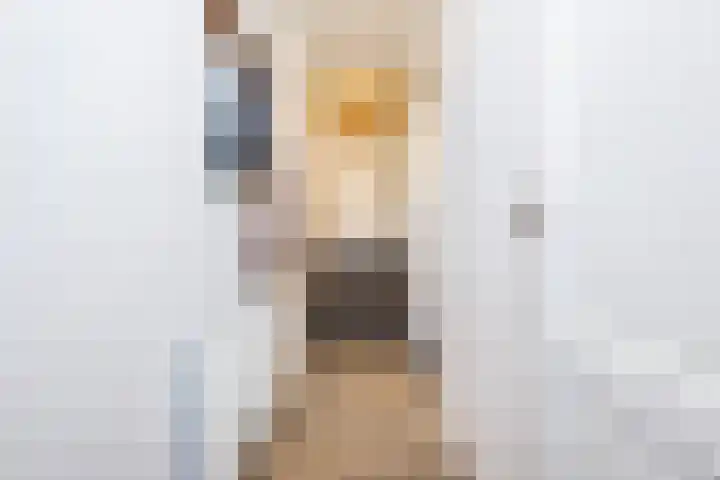 Juliana van Stolberglaan 7 Middelharnis thumbnail 8