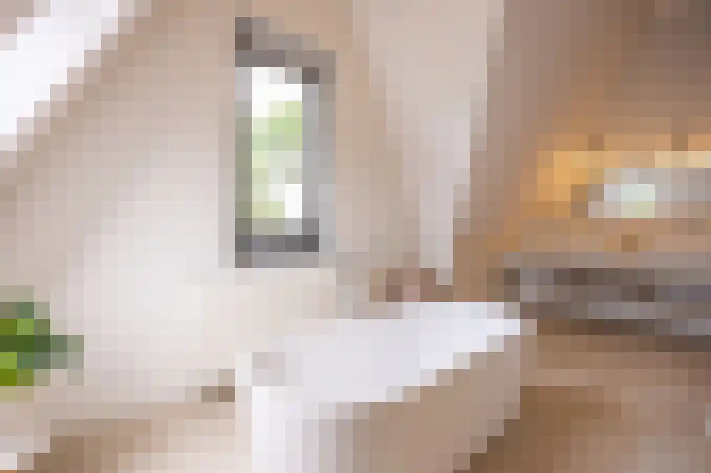 Juliana van Stolberglaan 72 Vught thumbnail 36