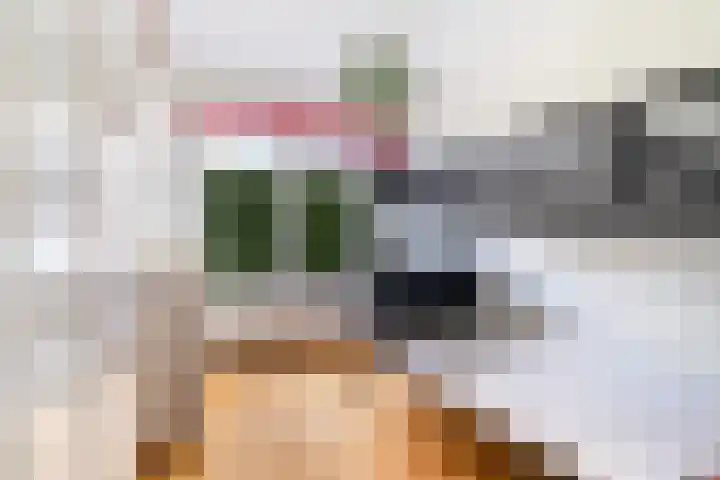 Juliana van Stolberglaan 74 Voorschoten thumbnail 19