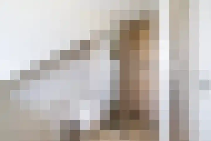 Juliana van Stolberglaan 74 Voorschoten thumbnail 28