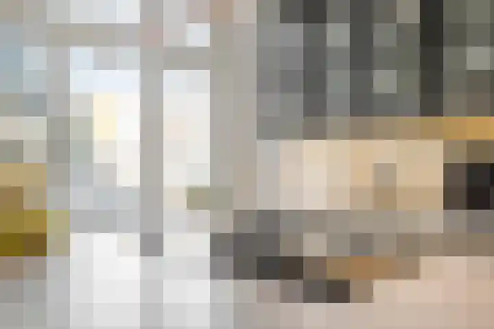Juliana van Stolberglaan 79 B Rotterdam thumbnail 15