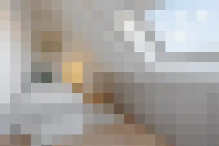 Juliana van Stolberglaan 79 B Rotterdam thumbnail 25