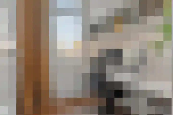 Juliana van Stolberglaan 79 B Rotterdam thumbnail 6