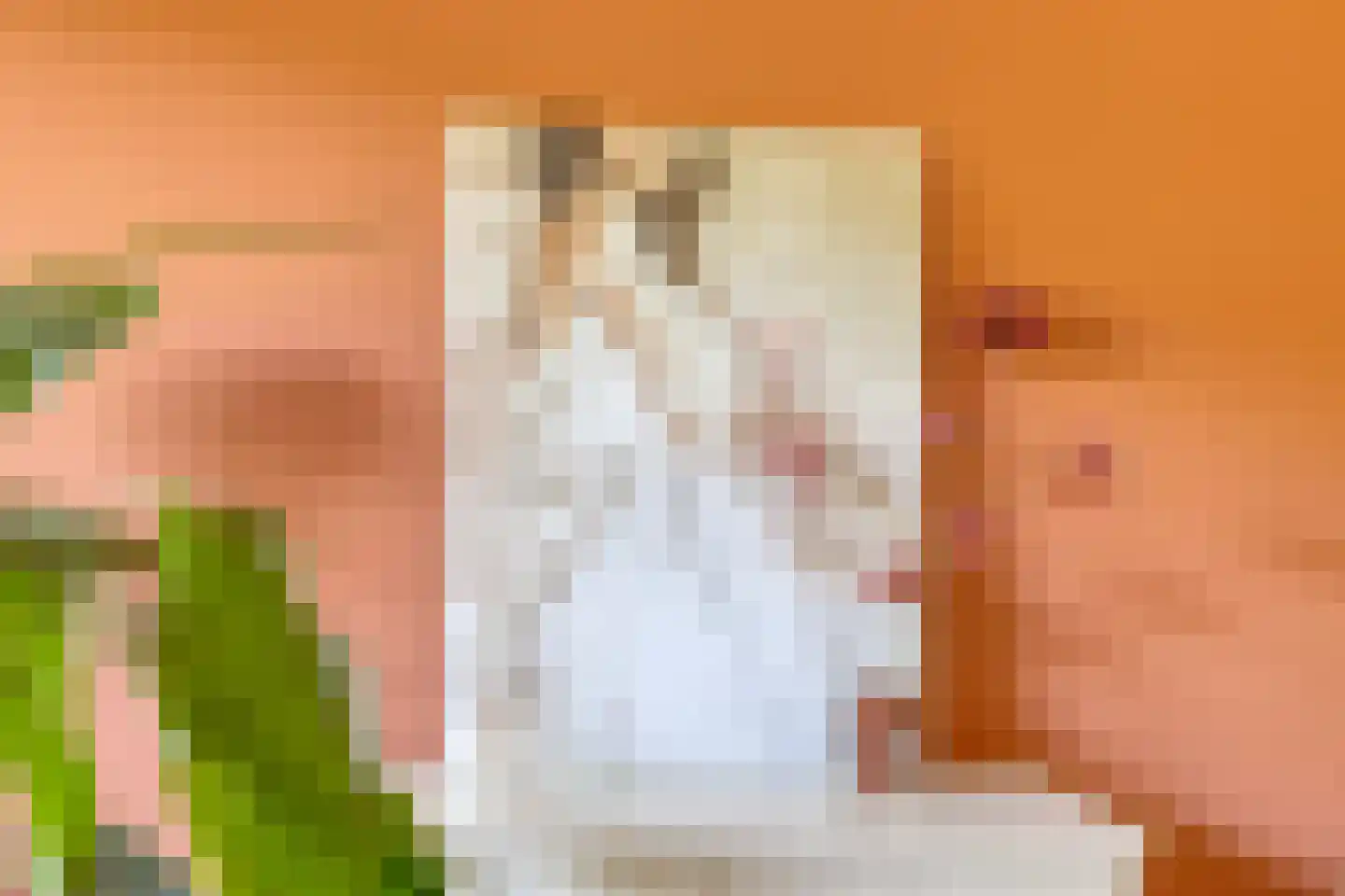Juliana van Stolberglaan 80 Vught thumbnail 31