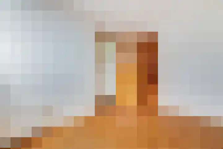 Juliana van Stolberglaan 81 B Rotterdam thumbnail 27