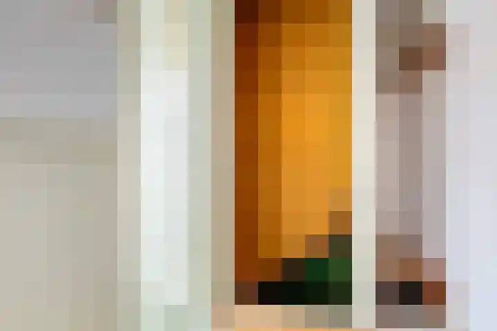 Juliana van Stolberglaan 81 B Rotterdam thumbnail 31