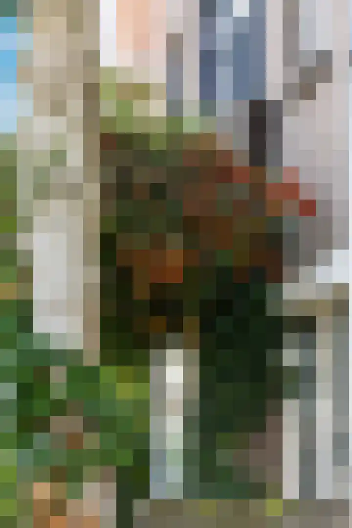 Juliana van Stolberglaan 81 B Rotterdam thumbnail 34