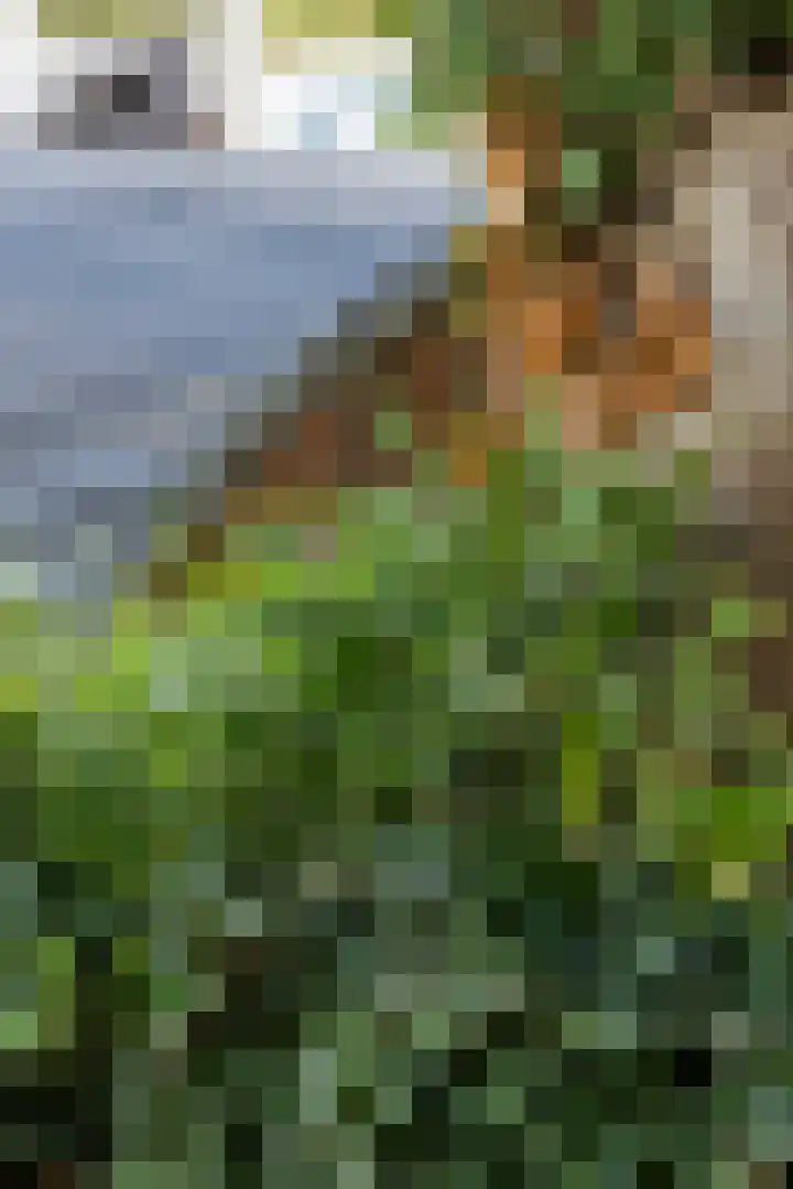 Juliana van Stolberglaan 81 B Rotterdam thumbnail 36