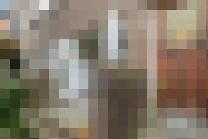 Juliana van Stolberglaan 81 B Rotterdam thumbnail 6
