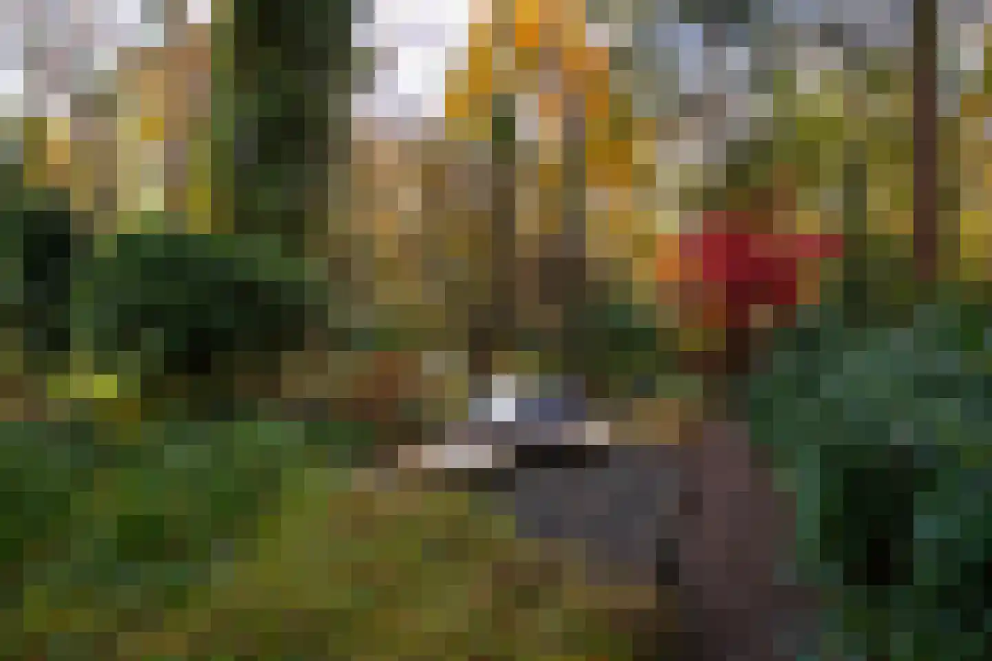 Juliana van Stolberglaan 9 Eerbeek thumbnail 100
