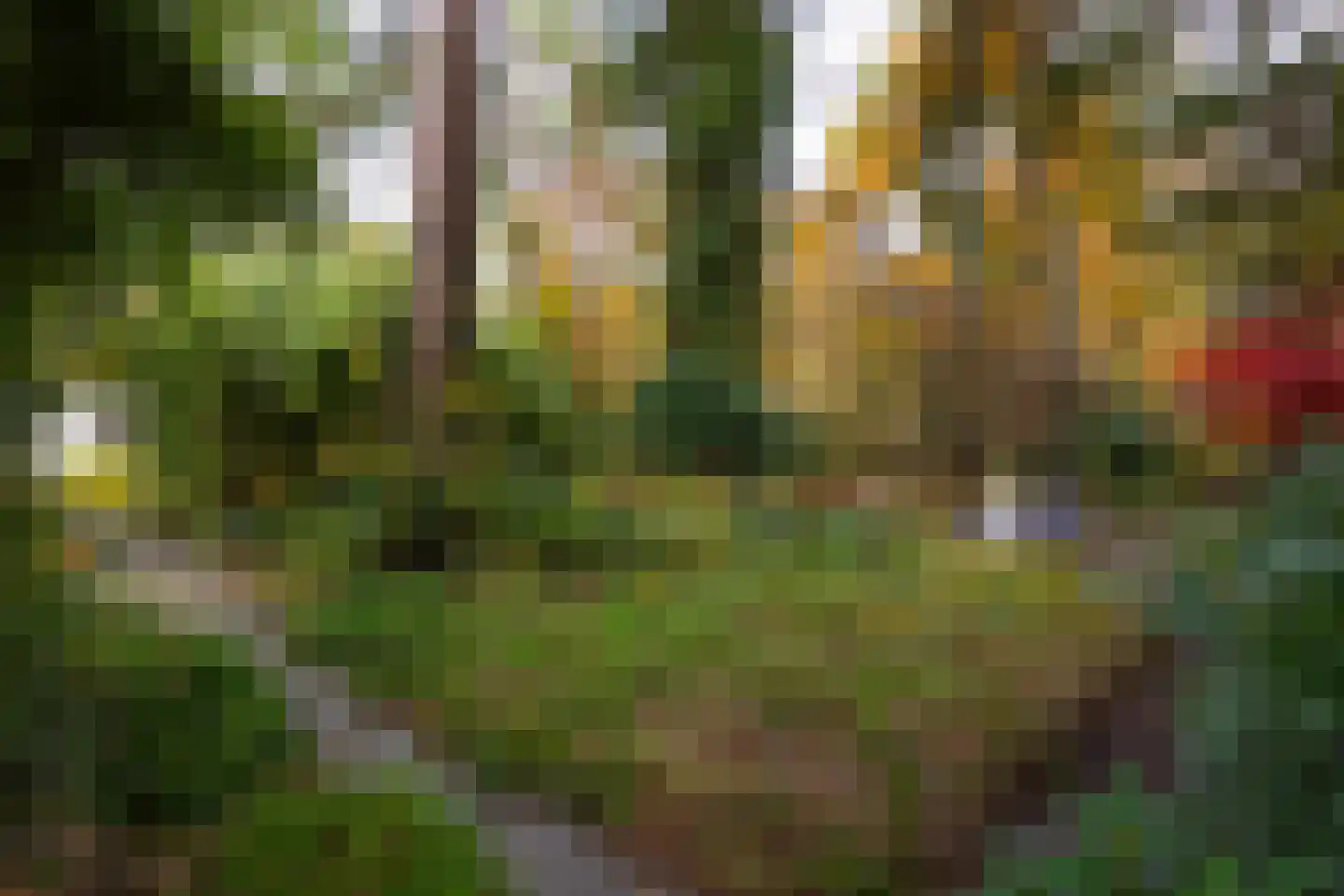 Juliana van Stolberglaan 9 Eerbeek thumbnail 101