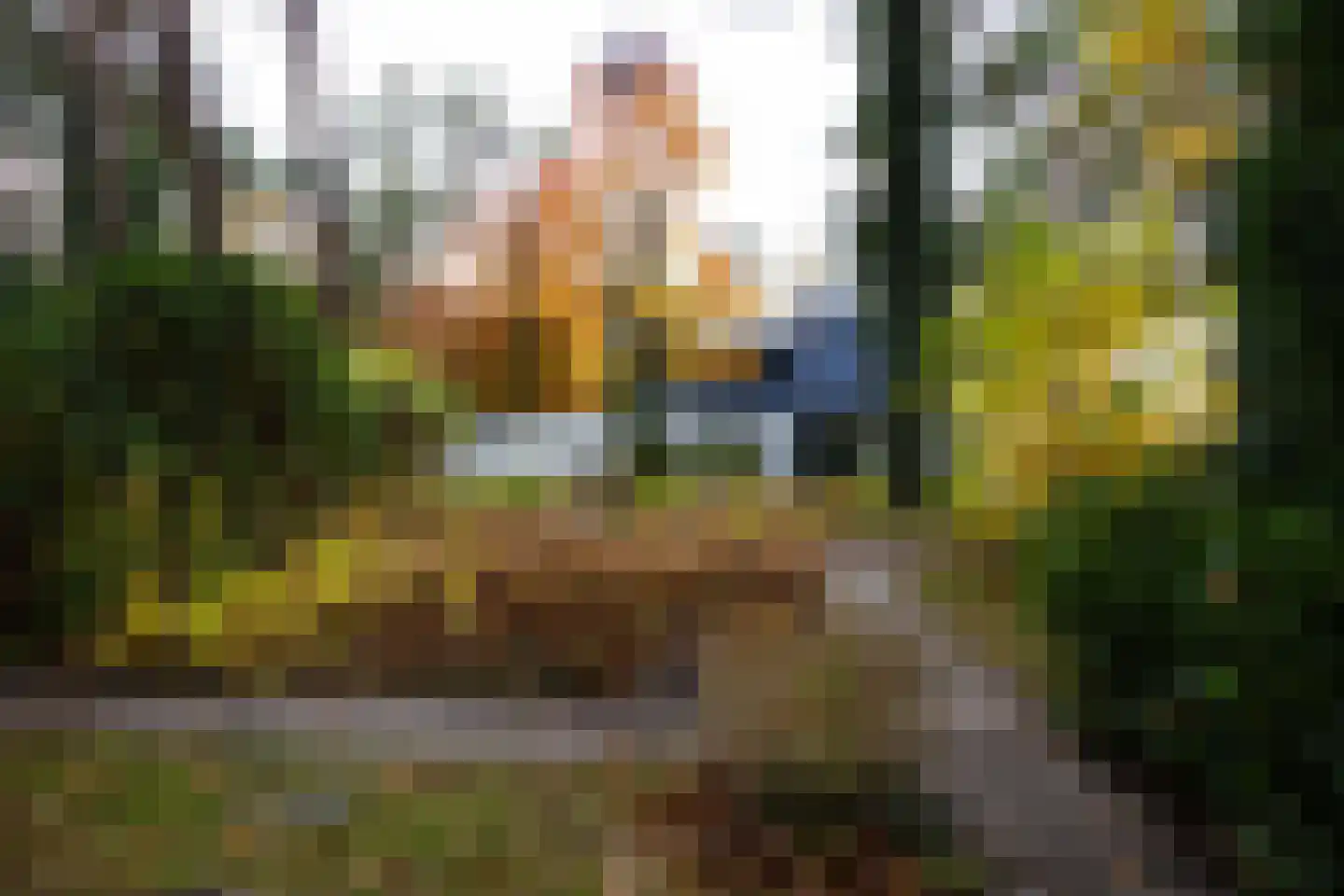 Juliana van Stolberglaan 9 Eerbeek thumbnail 109
