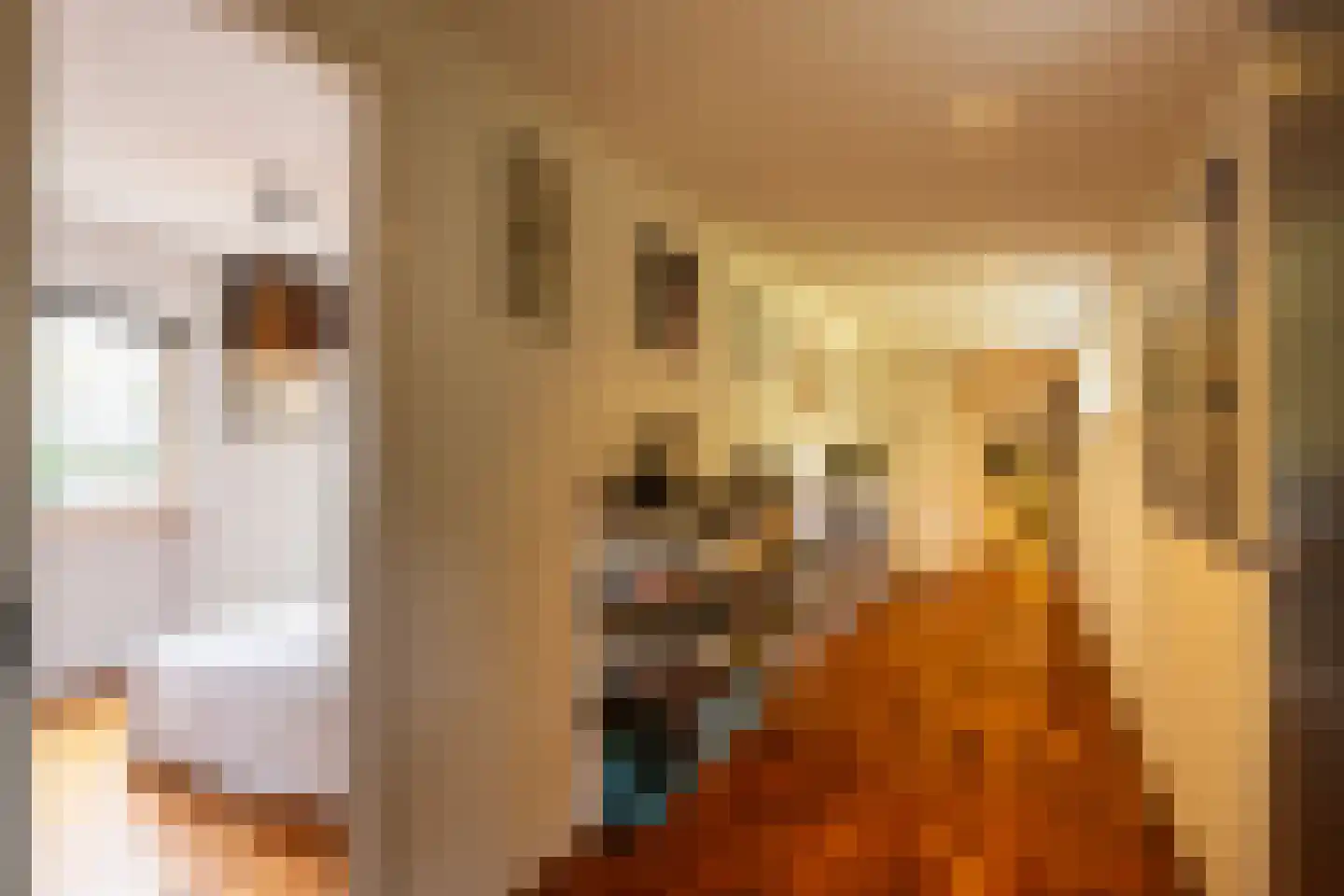 Juliana van Stolberglaan 9 Eerbeek thumbnail 39