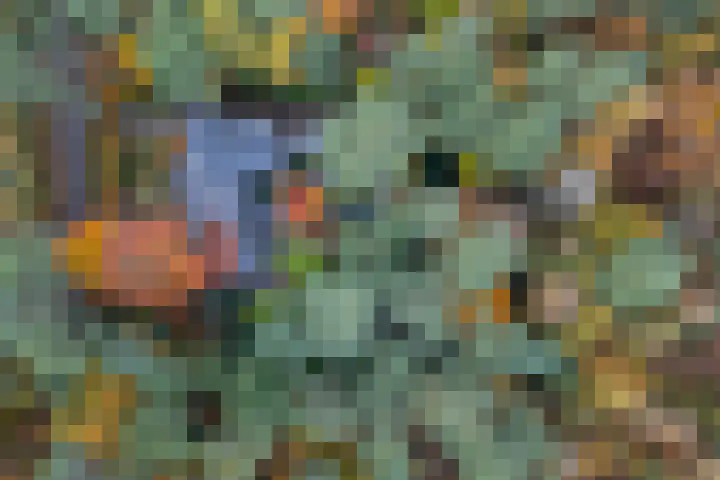 Juliana van Stolberglaan 9 Eerbeek thumbnail 75