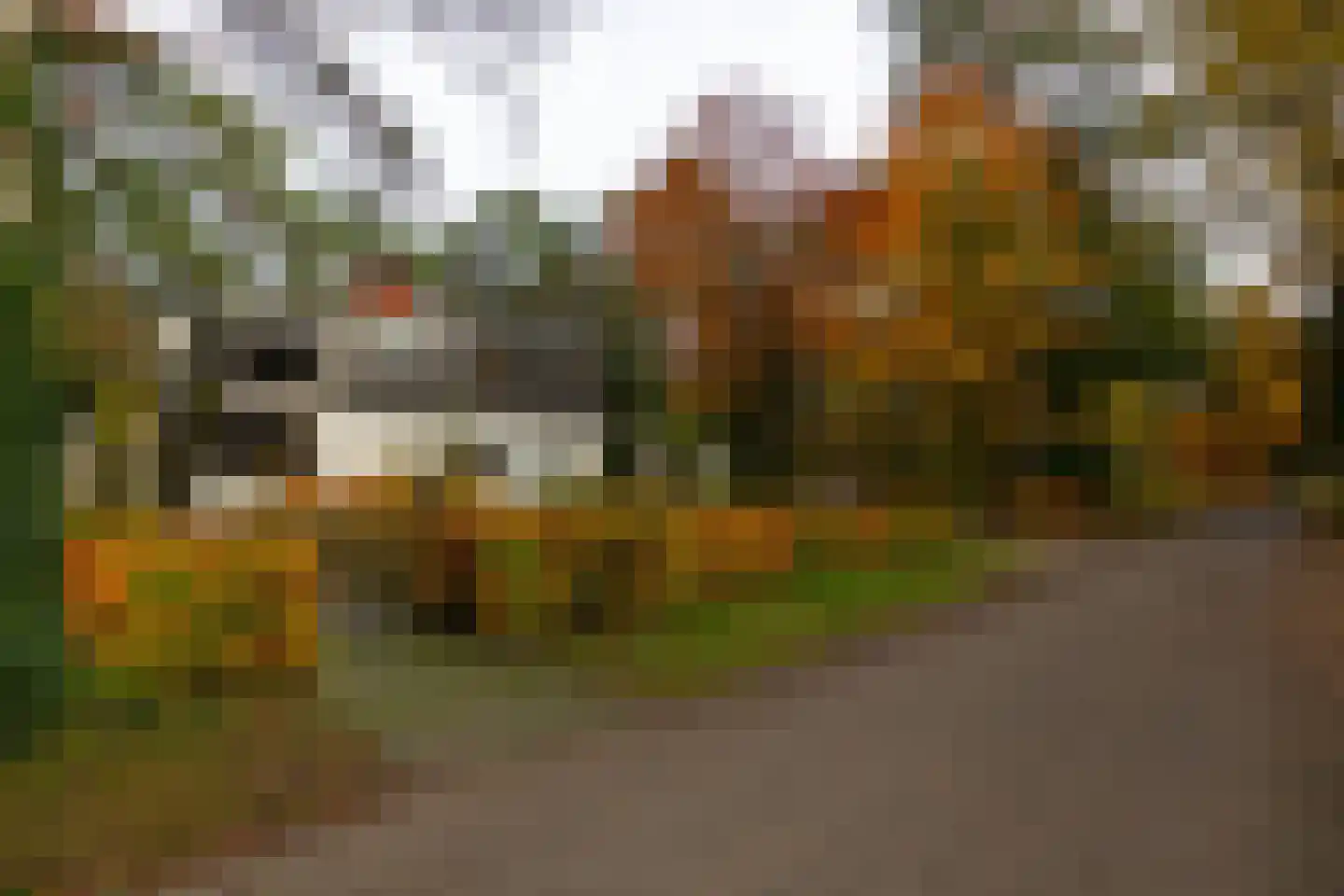 Juliana van Stolberglaan 9 Eerbeek thumbnail 80
