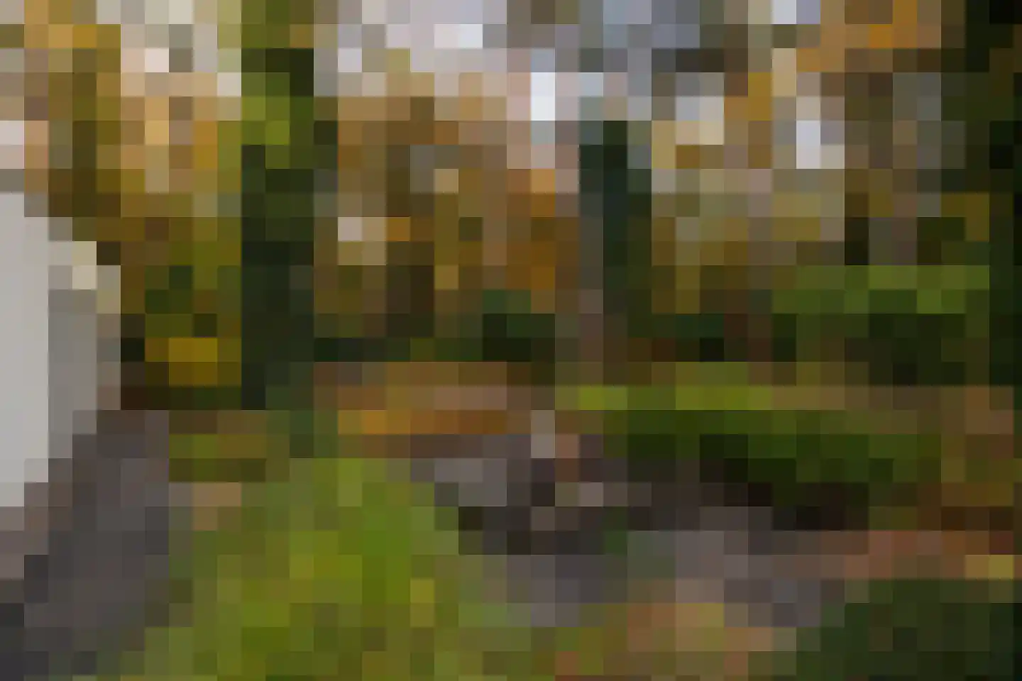 Juliana van Stolberglaan 9 Eerbeek thumbnail 84