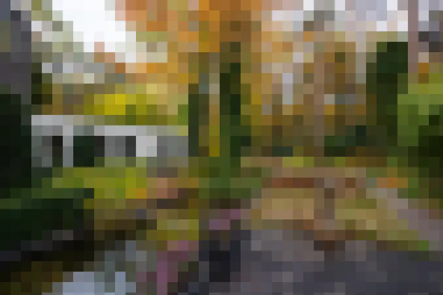 Juliana van Stolberglaan 9 Eerbeek thumbnail 85