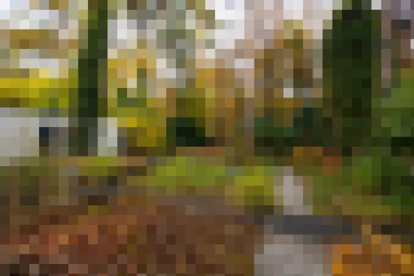 Juliana van Stolberglaan 9 Eerbeek thumbnail 86