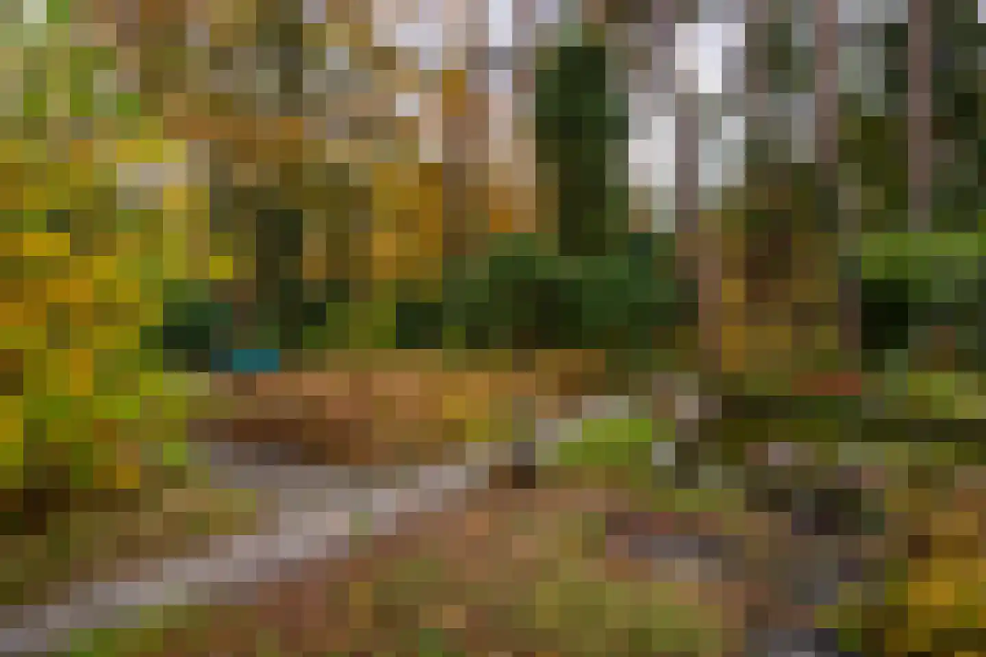 Juliana van Stolberglaan 9 Eerbeek thumbnail 87
