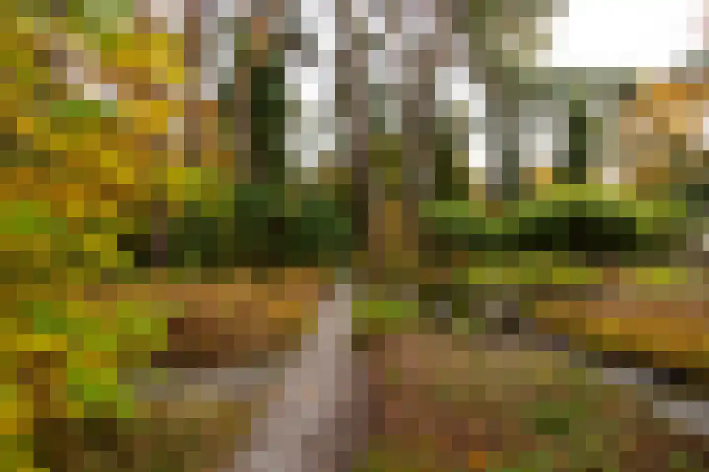 Juliana van Stolberglaan 9 Eerbeek thumbnail 88