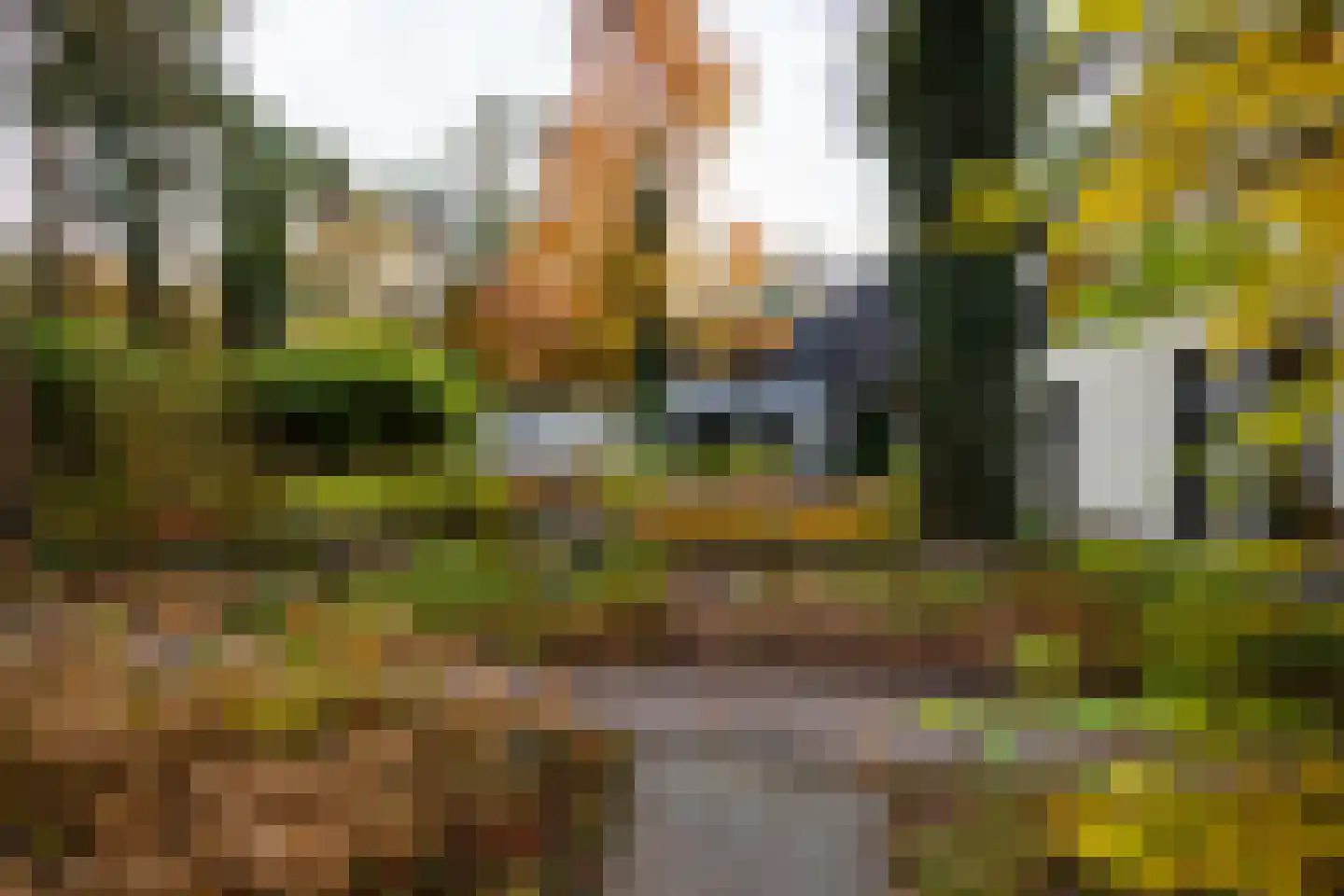 Juliana van Stolberglaan 9 Eerbeek thumbnail 90