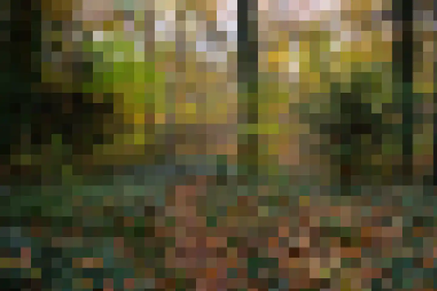 Juliana van Stolberglaan 9 Eerbeek thumbnail 92