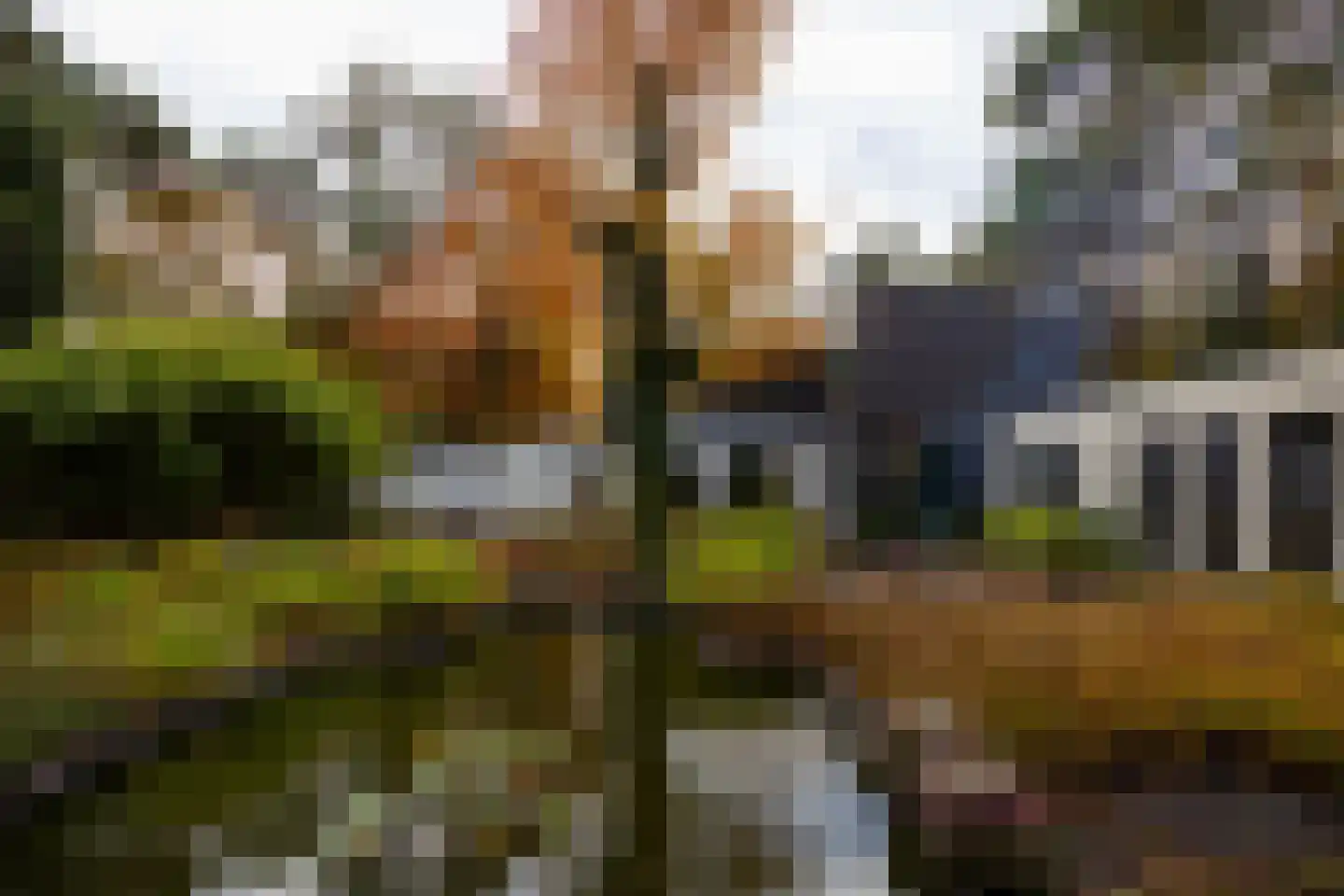 Juliana van Stolberglaan 9 Eerbeek thumbnail 94
